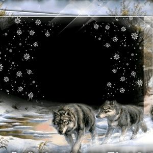 Meet your Posher, Rowena